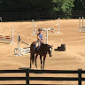 Meet your Posher, Hannah